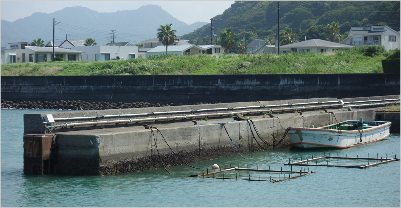 漁港の生簀・蓄養における定期環境調査の補助業務