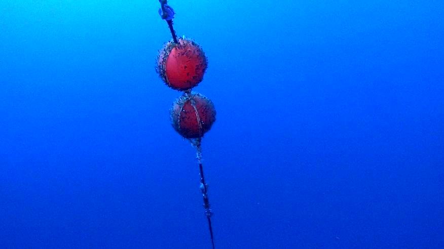 CTD採水の光景写真