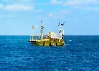 海象モニタリング