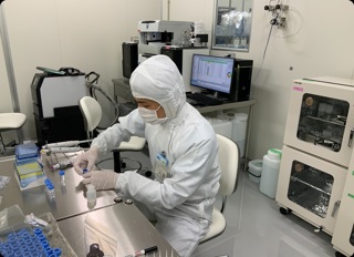 キュレーション