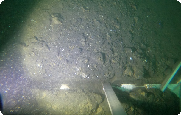 海底地盤・底質調査写真