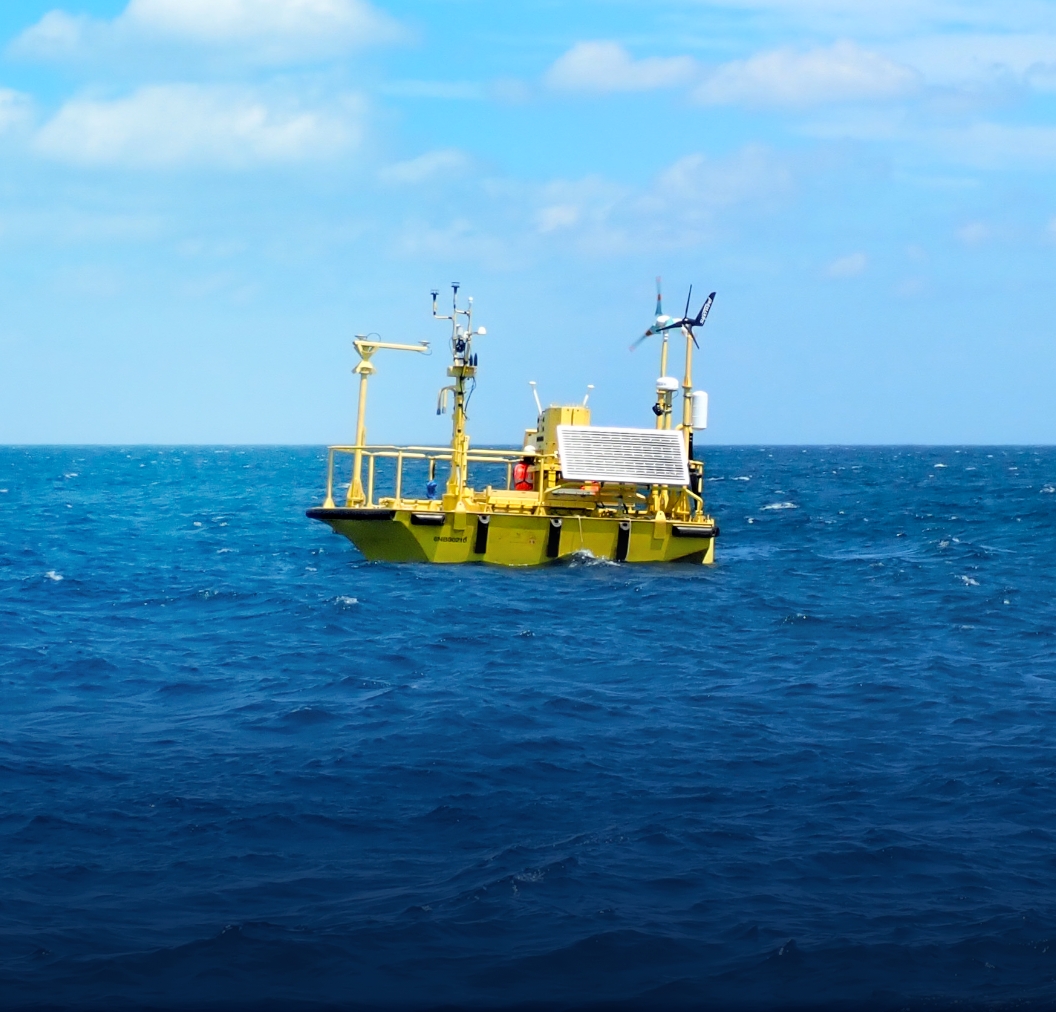 海象モニタリング背景写真