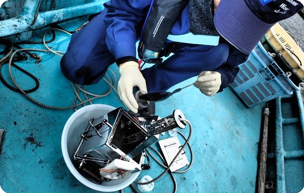 環境モニタリング写真