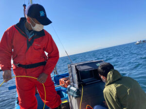 カジメの生長観察