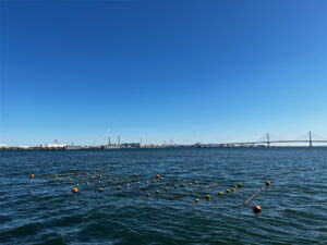 夢ワカメ・ワークショップのワカメ育成タイムラプス観察