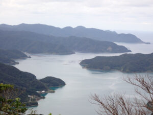 令和4年度　海の次世代モビリティの利活用に関する実証事業 ～ROV を用いた大型へい死魚の効率的な回収方法の検討～（その２）