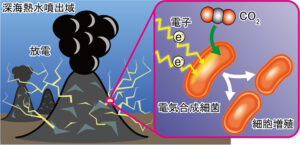 【論文発表】深海熱水噴出域に電気エネルギーを使って増殖する細菌がいることを実証
